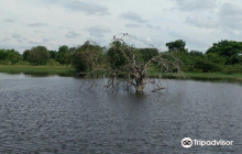 Dry Zone Botanic Gardens - Ham...