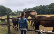 De Paardenkamp - Boerderij Vos...