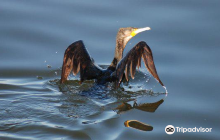 East Macedonia and Thrace Nati...