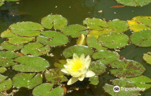 Jardin Botanico
