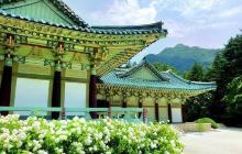 毛岸英烈士陵墓