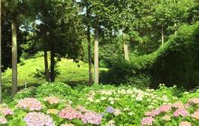 Tenarai no Mori Monument