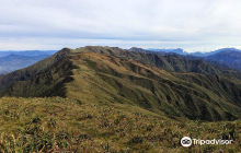 Parque Nacional Podocarpus