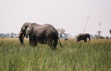 Maroon Tours  Safaris