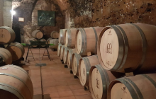 Bodega Muelas