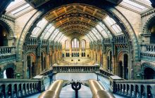 斯洛伐克国立美术馆