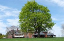 Trinity Episcopal Church