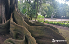Jose do Canto Botanical Garden
