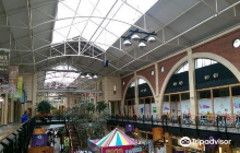 The Back Lane Gallery