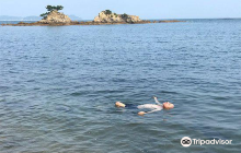 Irigyogyo Kyodo Kumiai Manaich...