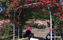 Togashi Rose Garden