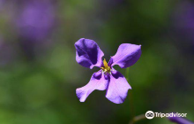 Seto Ohashi Memorial Park