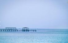 东海岸