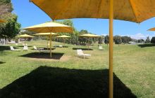 Prince Alfred Park