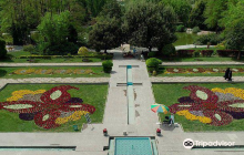 Flower Garden