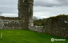Ballybeg Priory