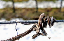 Weingut Flür