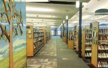 Dunedin Library