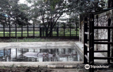 Mumbai Zoo (Veermata Jijabai U...