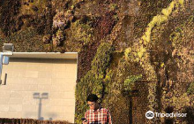 Museum of Contemporary Art Bus...