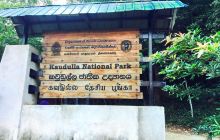 Kaudulla National Park