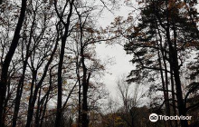 Zapaden Park