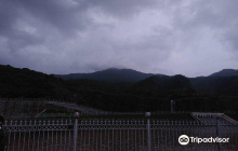 Meenatai Thackrey Udhyan