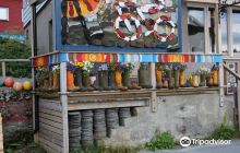 Once Upon a Dream Galleri and ...