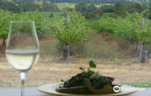 Producers of McLaren Vale