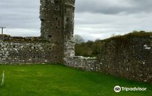Ballybeg Abbey