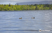 Chain Driven Cycles Bike Hire