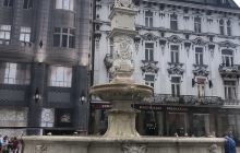 Traja bronzovi zraloci