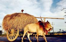 室利差旦罗古城