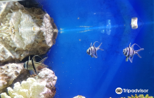 Bauyrzhan Momyshuly Park