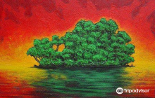 Arte Jaguar Gallery