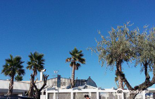 Ippo Beach Club Playa Privada