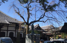 Daiyu-ji Temple