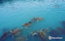 Vihara Dewi Kuan Yin