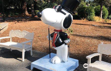 Charles H. Shultz House