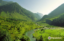 Nishat Tours And Travels