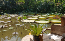Na Vana Thai Massage and Spa
