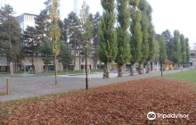 Freunde der Sunnah Mosque