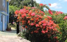 Ahhh...Ras Natango Gallery and...