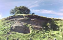 Hallett Cove Conservation Park