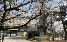 かわいい水族館