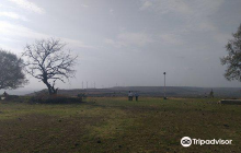 Shri Vishal Ganapati Temple