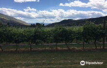 Porcupine Meadows Provincial P...