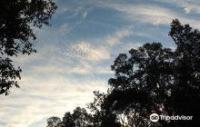 Gorumara National Park