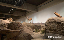 Sharjah Public Art Association...