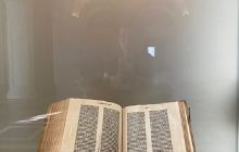 Dundas Valley Conservation Are...